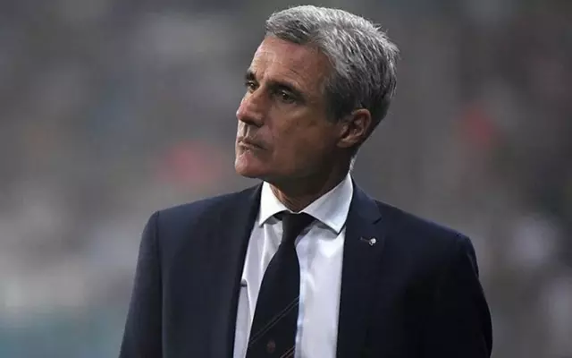 Luis Castro pode assumir o comando do Flamengo