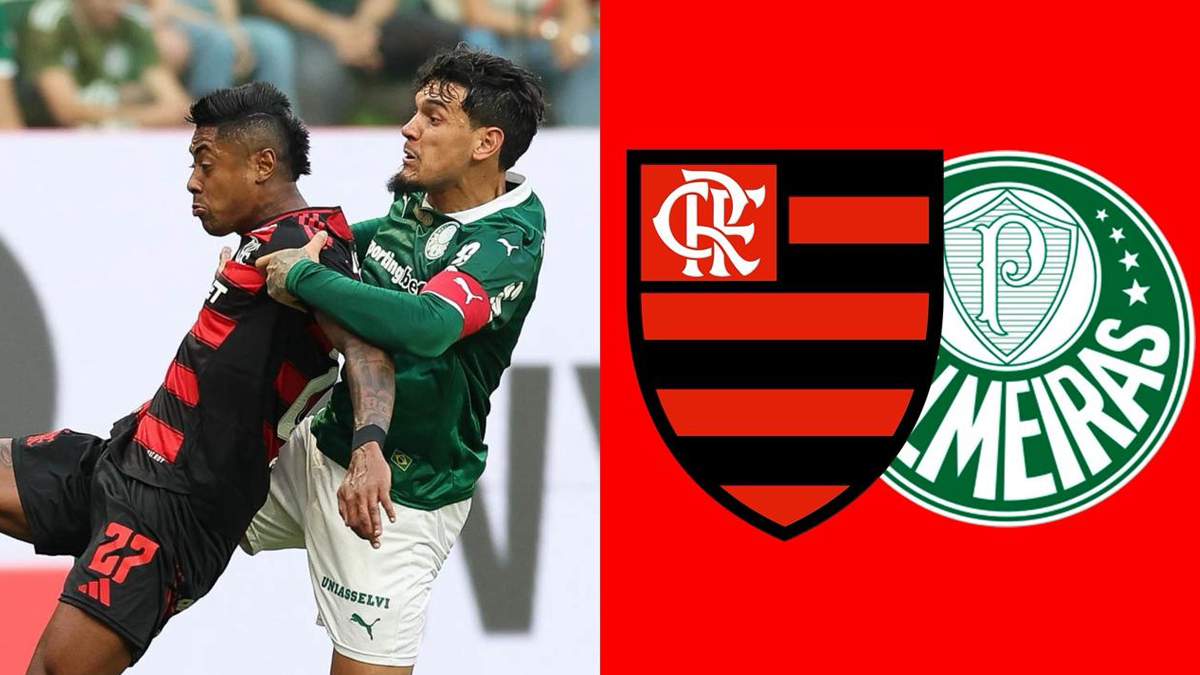 Saiba onde assistir ao jogo do Flamengo x Palmeiras, pelo Brasileirão