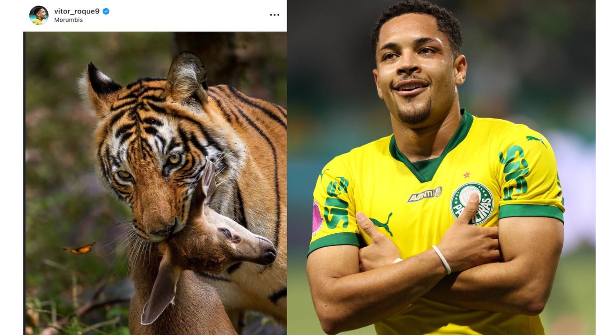 Artilheiro do Palmeiras, Vitor Roque pode ser suspenso e não jogar mais no Brasileirão