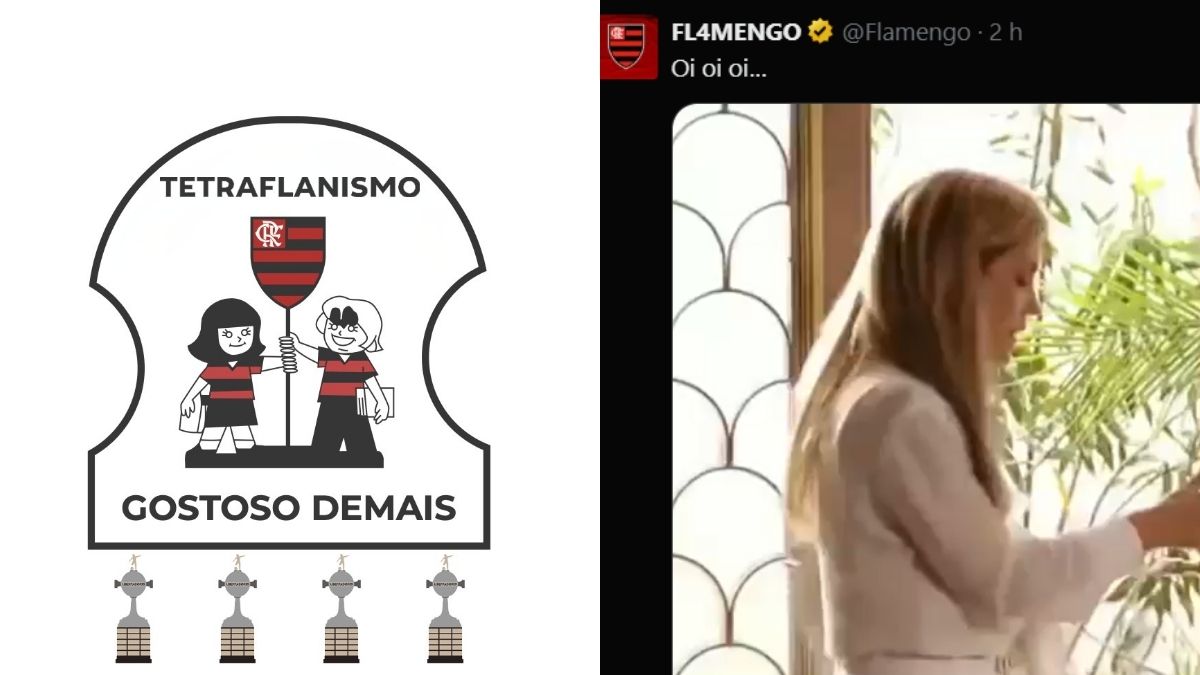 Flamengo campeão da Libertadores: memes ao Palmeiras