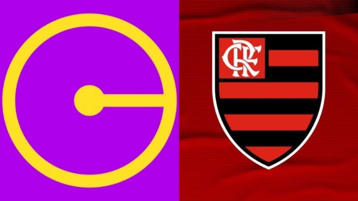 Flamengo decide não disputar Copinha em 2026, diz jornalista