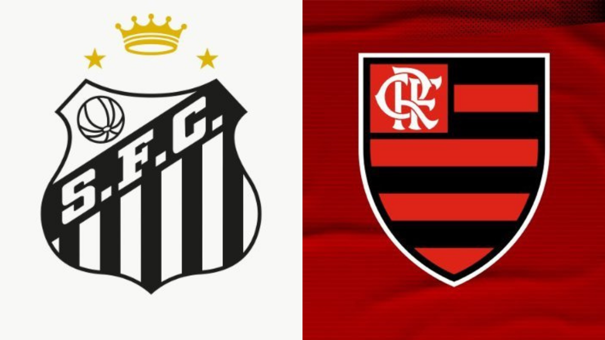 Santos tenta contratação de ídolo do Flamengo