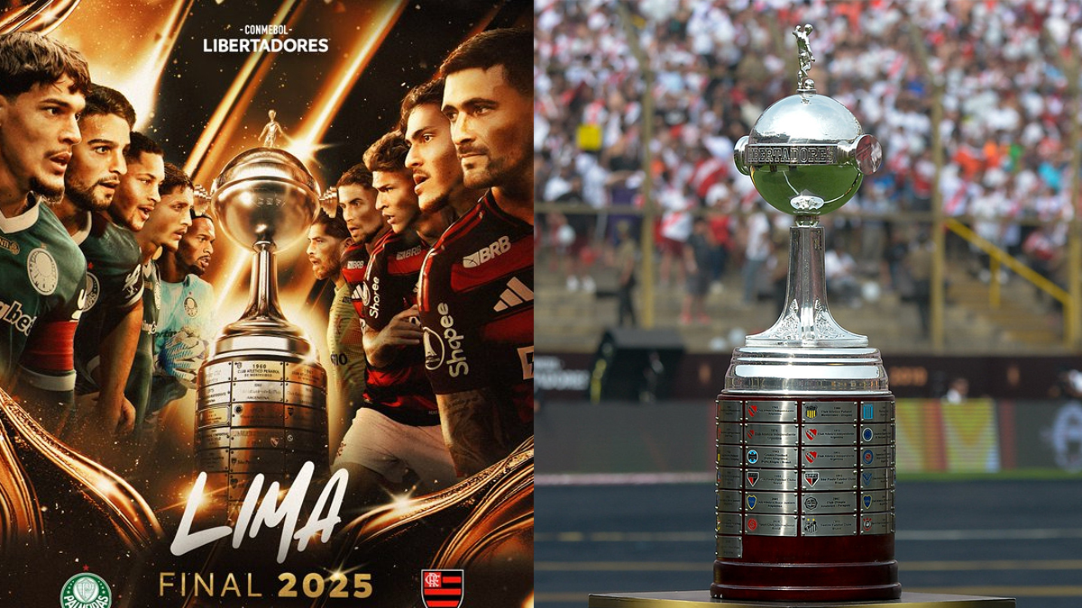 tudo que você precisa saber