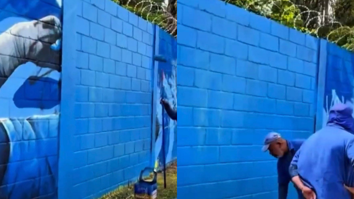 Cruzeiro toma atitude drástica com imagem de Gabigol na Toca da Raposa