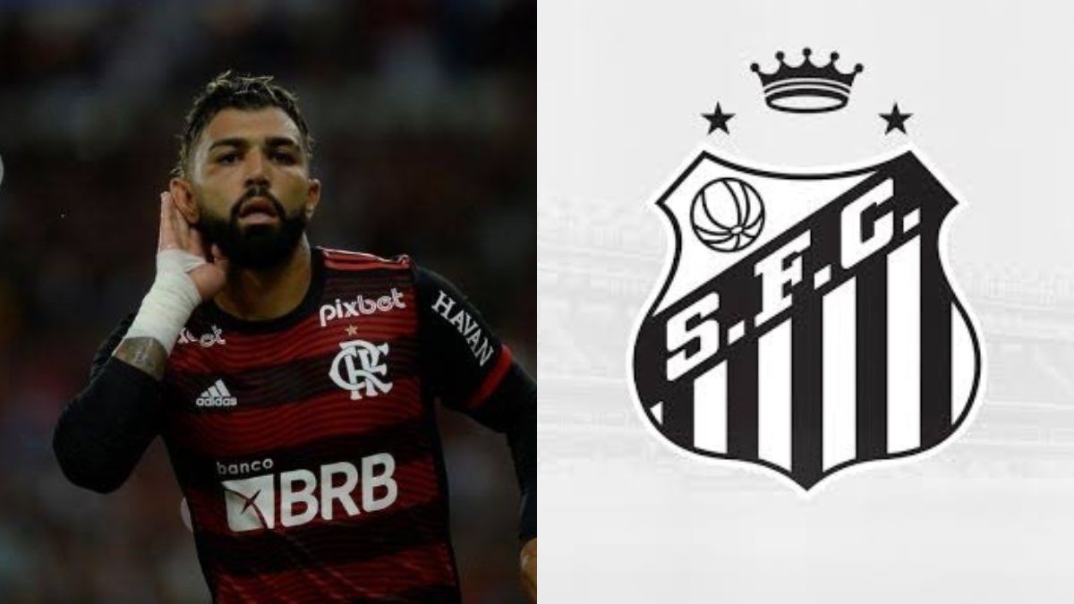 Santos mira contratação de ídolo do Flamengo para 2026