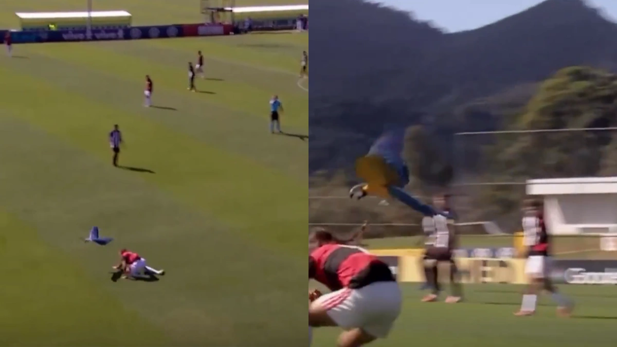 Jogador do Flamengo é atacado por arara em jogo da Copa do Brasil Sub-15