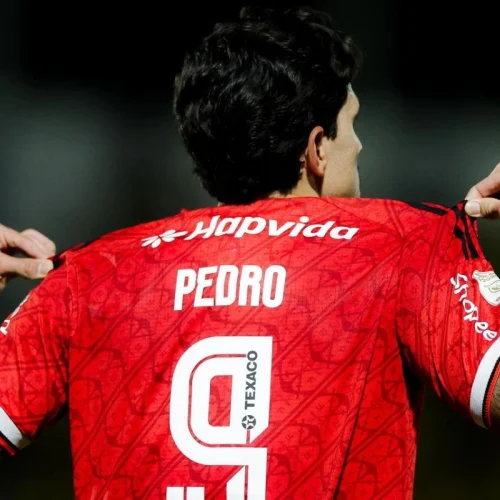 A goleada do Flamengo sobre o Mirassol na visão de Pedro