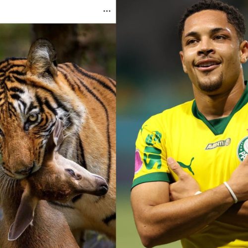 Artilheiro do Palmeiras, Vitor Roque pode ser suspenso e não jogar mais no Brasileirão