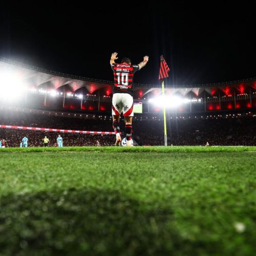 Flamengo oficializa pedido para padronização dos gramados