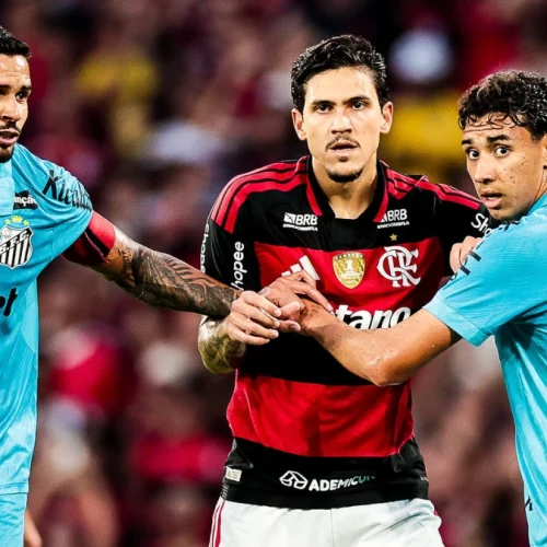 Flamengo passa sufoco, mas vence o Santos de virada