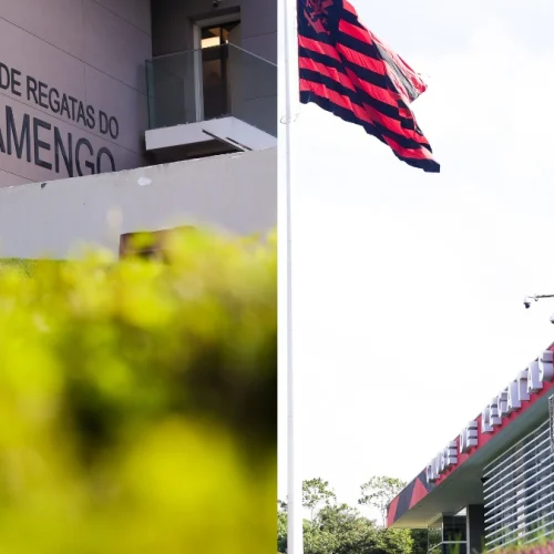 Flamengo toma decisão sobre futuro de profissional no clube