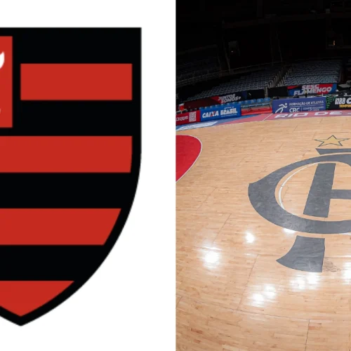 Ídolo do Flamengo é internado em hospital de São Paulo; veja o motivo