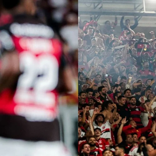 Jardim destaca papel da torcida do Flamengo para classificação na Libertadores