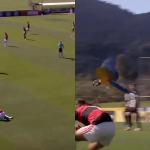Jogador do Flamengo é atacado por arara em jogo da Copa do Brasil Sub-15