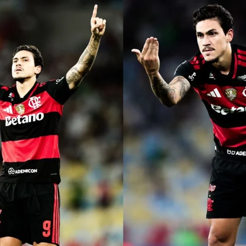 Lenda do Flamengo se encanta com gol de Pedro