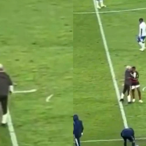 Leonardo Jardim 'parte para cima' de jogador após jogo do Flamengo x Cruzeiro; veja vídeo