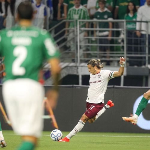 Palmeiras elimina o Fluminense e está na final da Libertadores
