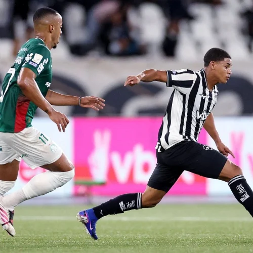Palmeiras empata com o Botafogo, e Flamengo lidera Brasileirão