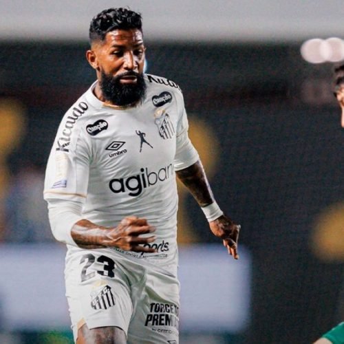 Palmeiras empata com o Santos e garante liderança do Flamengo por mais uma rodada do Brasileirão