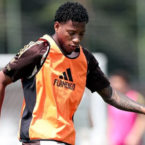 Plata volta a treinar e pode reforçar o Flamengo contra o Santos