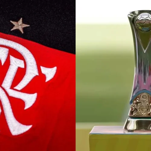 Time da Série D do Brasileirão anuncia contratação de campeão pelo Flamengo