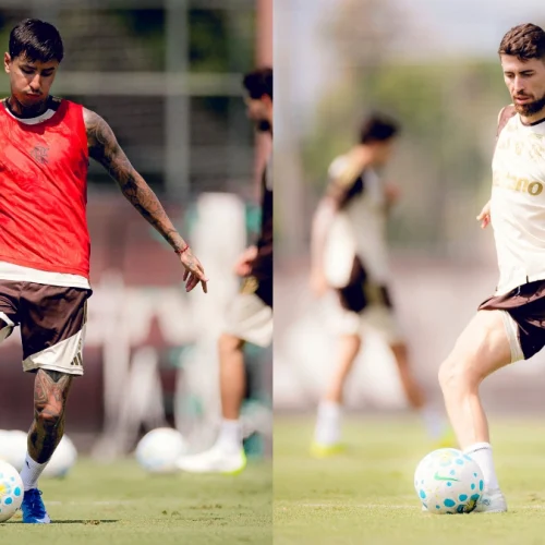 Veja como o Flamengo chega para jogo contra o Santos