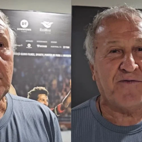 Zico detona estádio do Palmeiras: "Gramado de plástico"