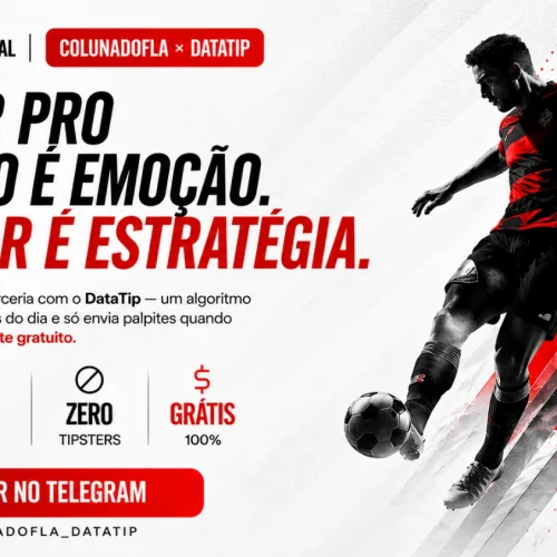 conheça algoritmo que acerta 80% das apostas