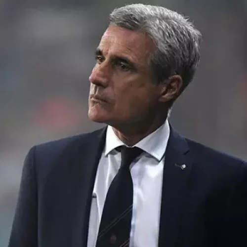Luis Castro pode assumir o comando do Flamengo