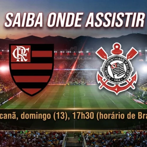 onde assistir ao vivo jogo do Brasileirão