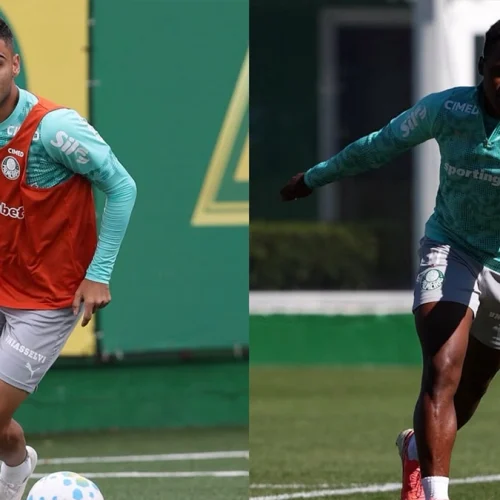 saiba onde assistir ao jogo do Palmeiras hoje; Flamengo quer diminuir diferença para o topo do Brasileirão
